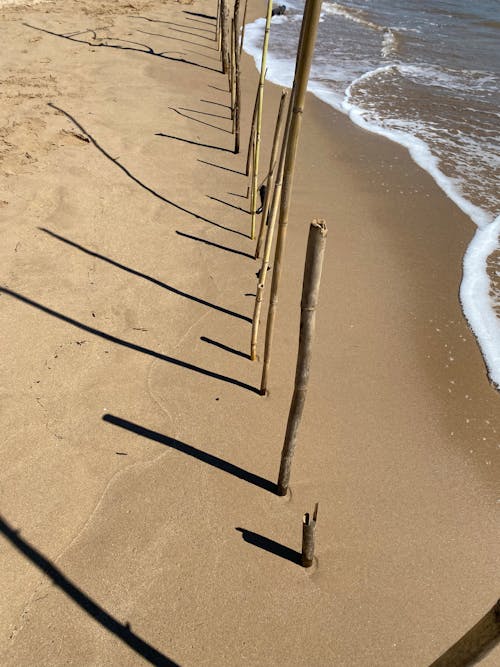 Kostnadsfri bild av bambu pinnar, drivved, på stranden