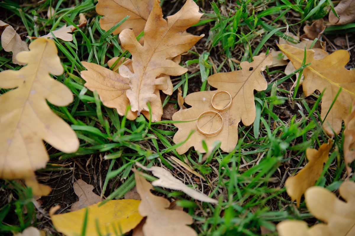 Gold wedding rings resting among grass and autumn leaves
