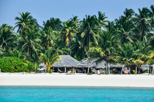Free Idyllic beach scene with palm trees and huts on an Indian island shore. Stock Photo