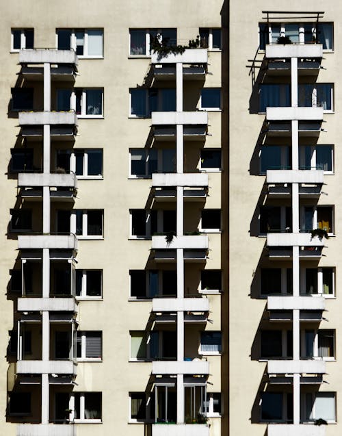 Základová fotografie zdarma na téma plochý