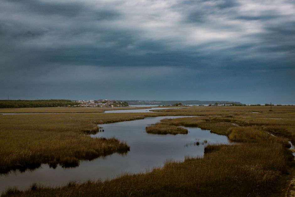 Rumney Marsh Reservation - revere ma