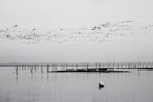 Základová fotografie zdarma na téma moře