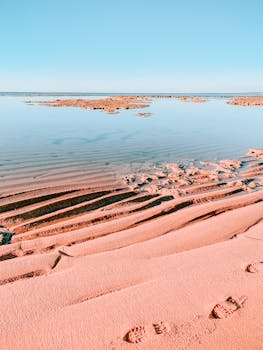 清澈的蓝色海水，在明亮的天空下，映衬着独特的沙地图案与宁静的海岸线