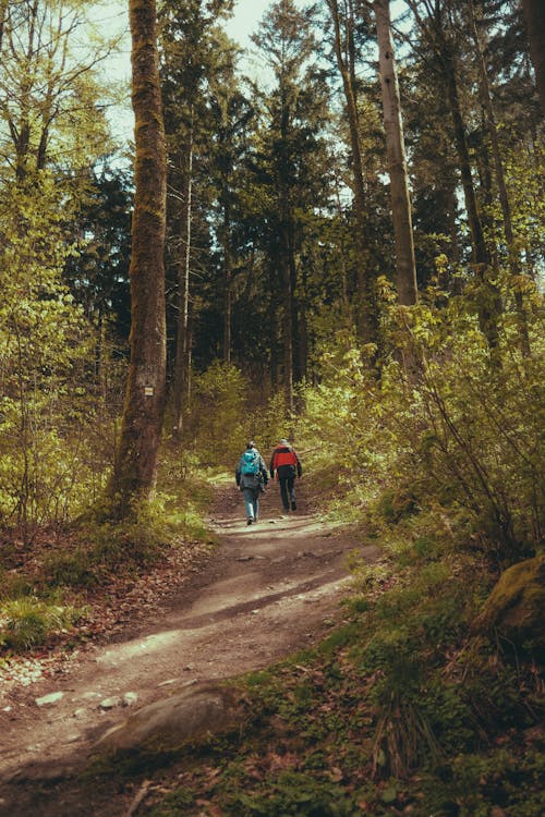 Two people walking down a trail in the woods