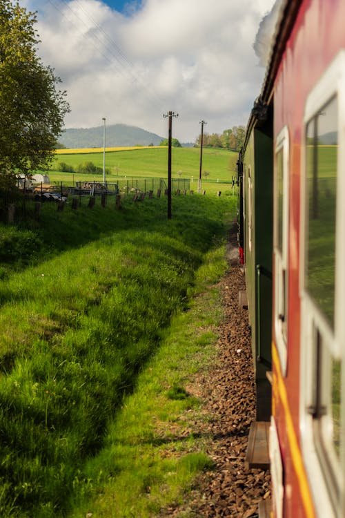 A train is traveling through a lush green field