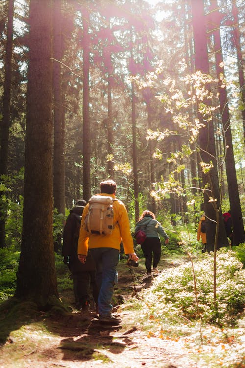 A group of people walking through a forest