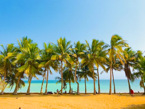 Free stock photo of beach, blue sky, blue water