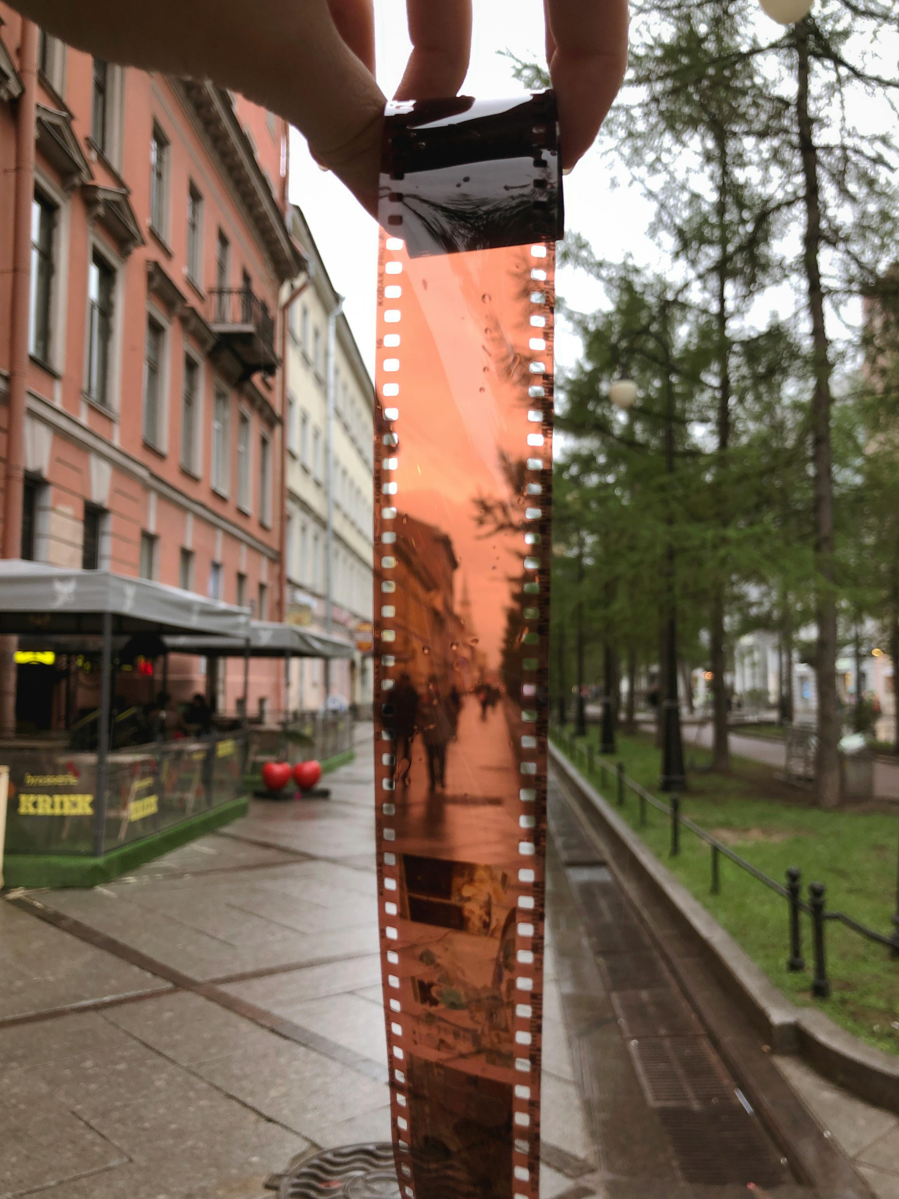 person holding brown film