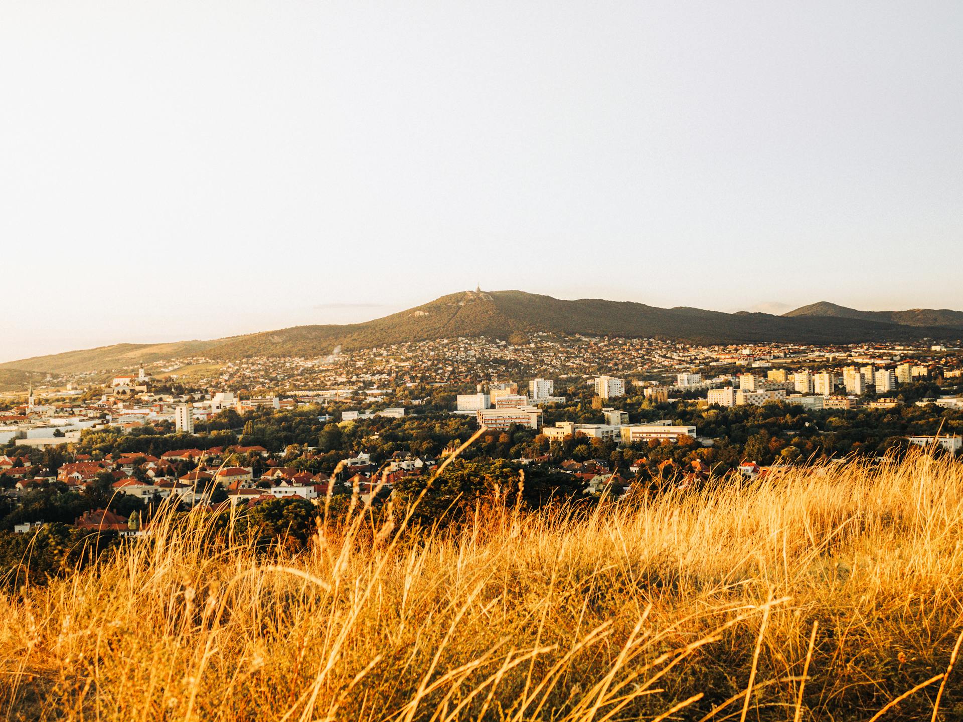 Explore the stunning summer cityscape of Nitra, Slovakia from a hillside perspective.