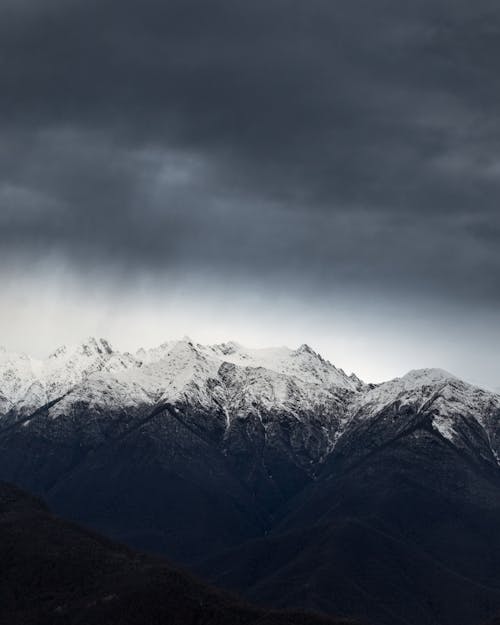 Alpes De Montaña