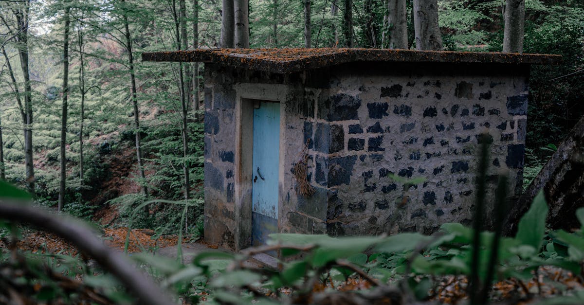 The Saltwater Code 1 image text