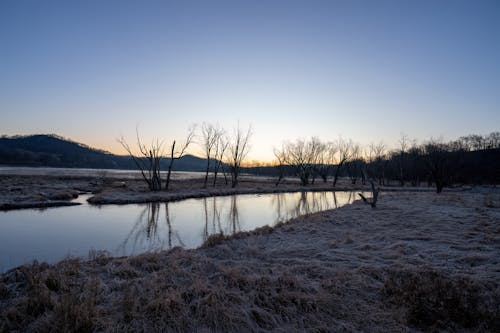 コールド, 冬, 反射の無料の写真素材