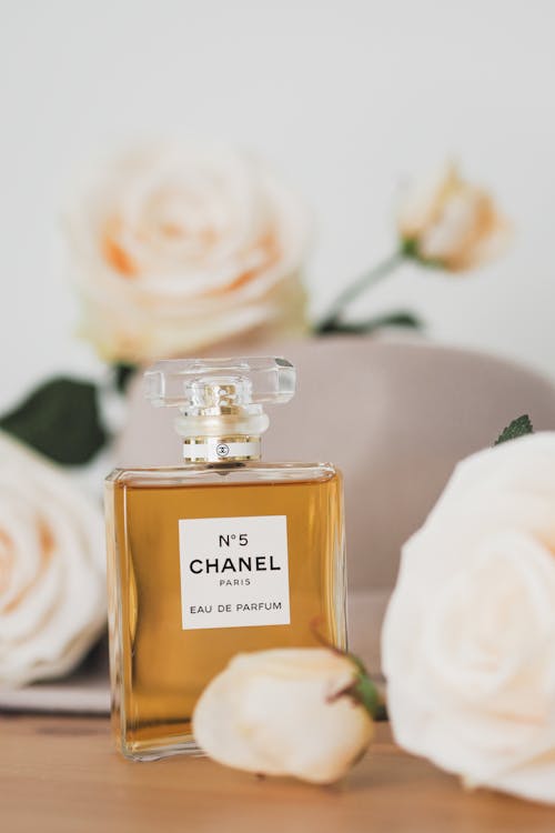 Fotos de stock gratuitas de chanel, dibujo floral, flor