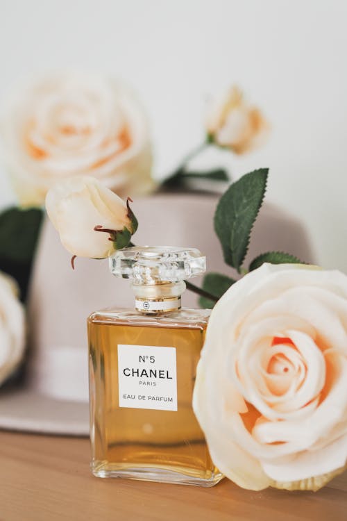 Fotos de stock gratuitas de chanel, dibujo floral, flor