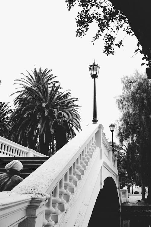 A black and white photo of a bridge with palm trees