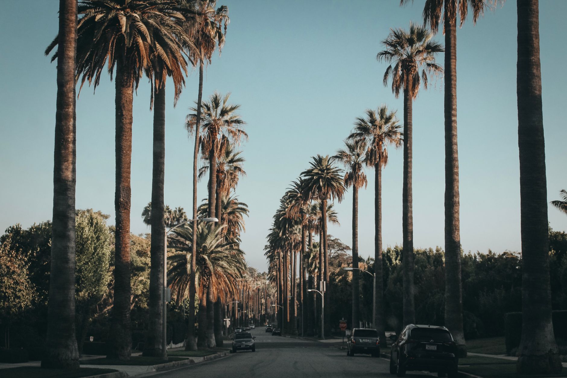 Beverly Hills Is No Longer a Seller's Game — and the Neighborhood Has Never Been More Interesting Beverly Hills Is No Longer a Seller's Game — and the Neighborhood Has Never Been More Interesting