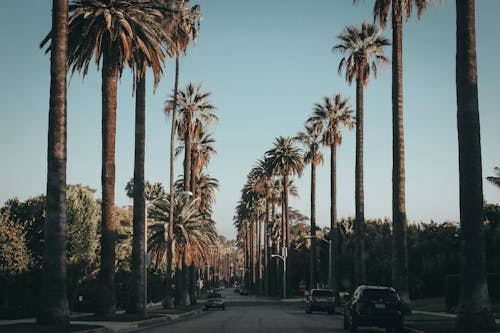 West Coast Pacific System Brings Cooler Weekend Highs