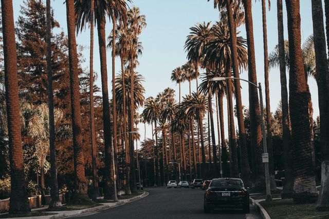 Photo by Vincent Gerbouin on Pexels Photo by Vincent Gerbouin on Pexels