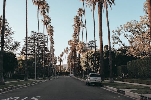 Scenic view of a palm-lined street in Beverly Hills during dusk, showcasing urban elegance.
