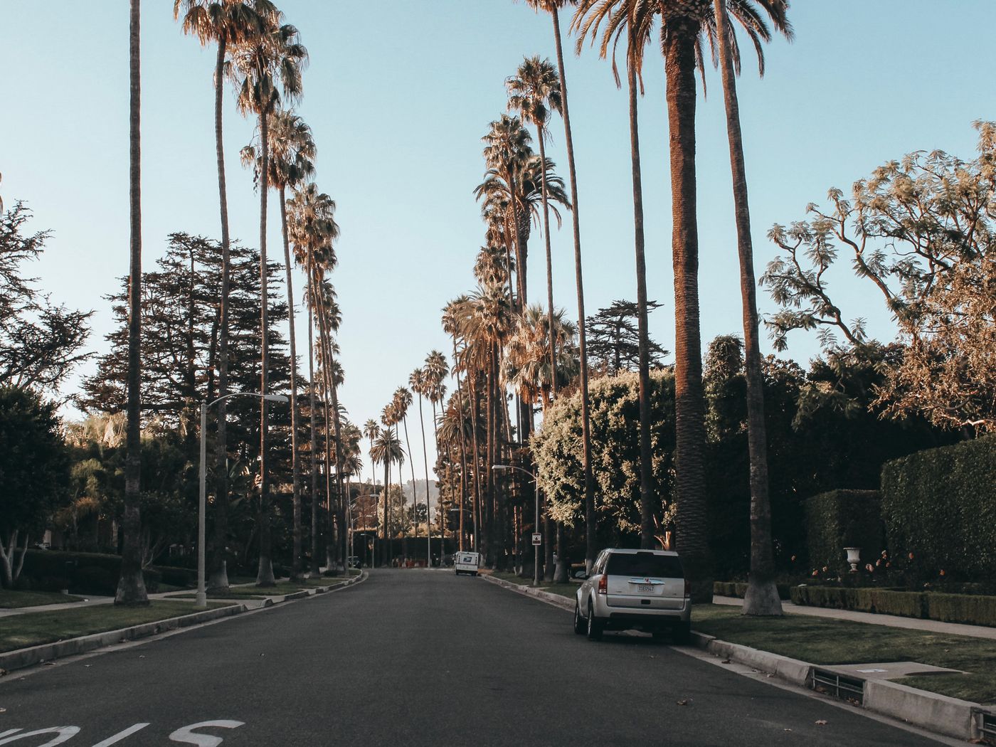 Palm-lined street in Beverly Hills at dusk
