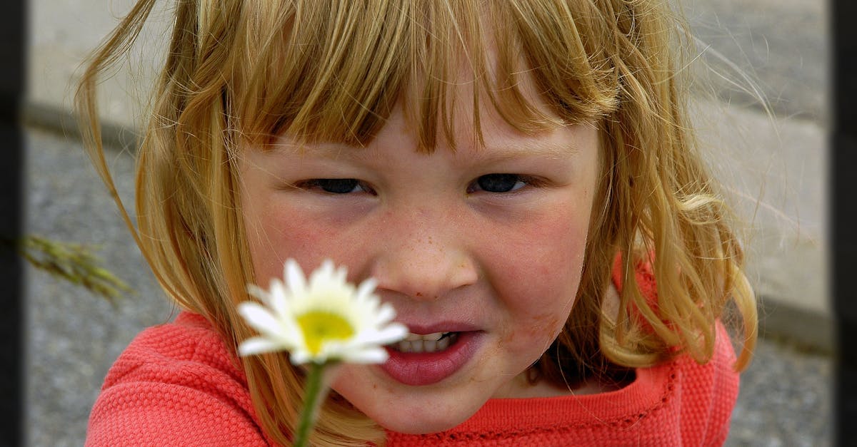 Free stock photo of girl with flower