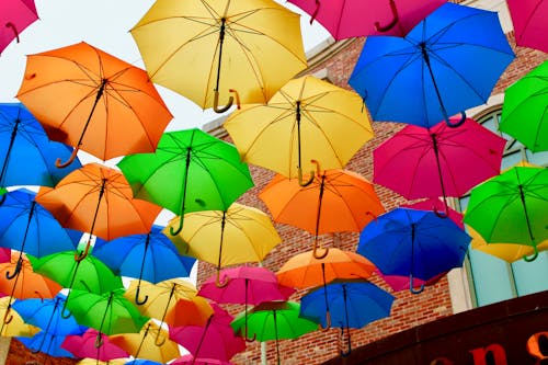 Gratis stockfoto met kleur, paraplu's, regenboogkleuren