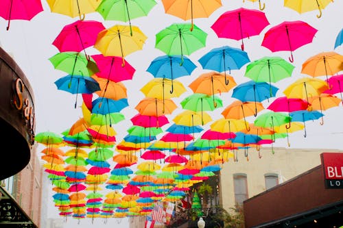 Free Colorful Umbrellas Stock Photo