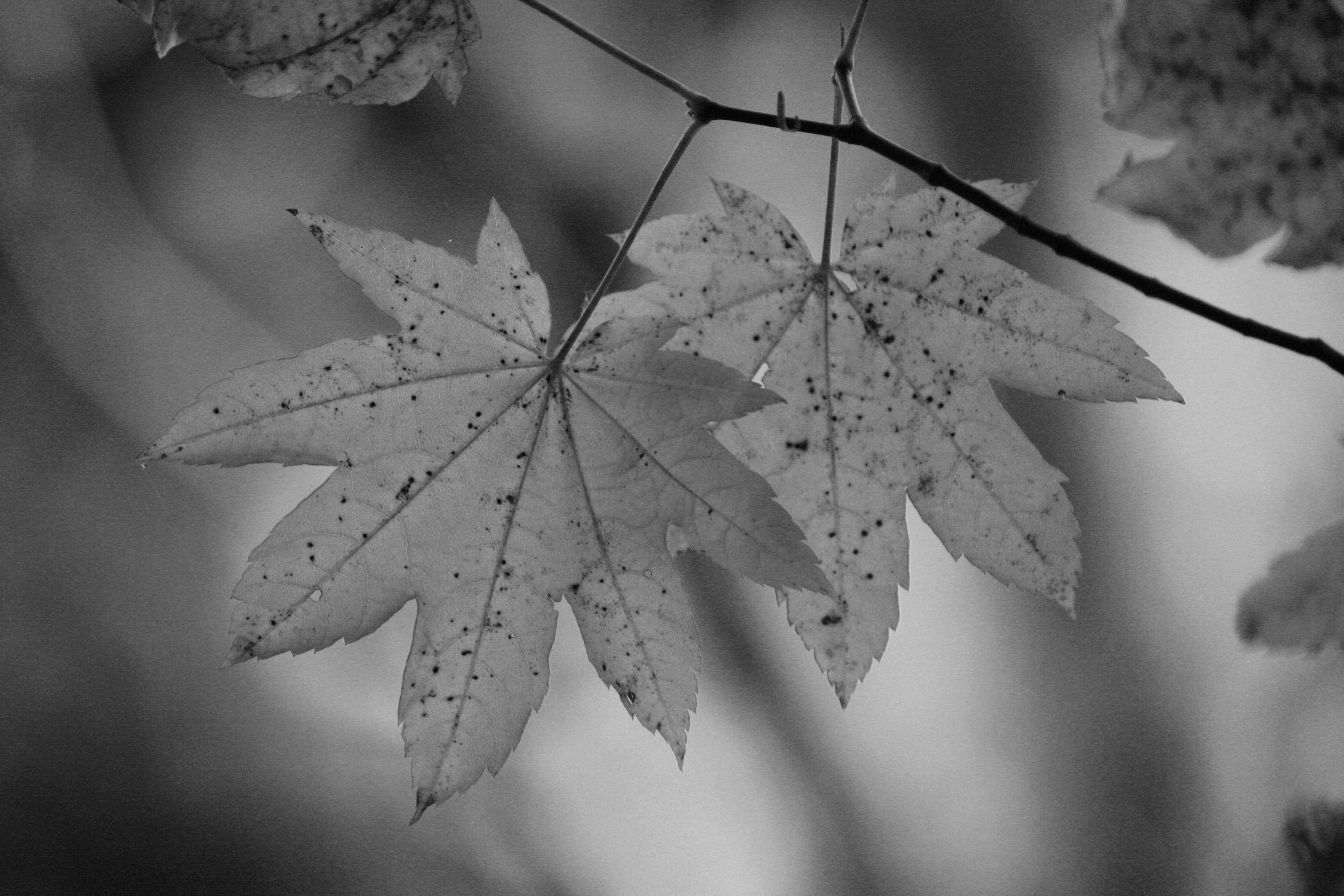 Stephen Miller Photography