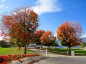 这是一个风景优美的公园，绿树成荫，小路两旁是蔚蓝的天空