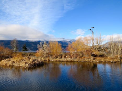 秋日宁静，晴空如洗，河流倒映着山峦与树木