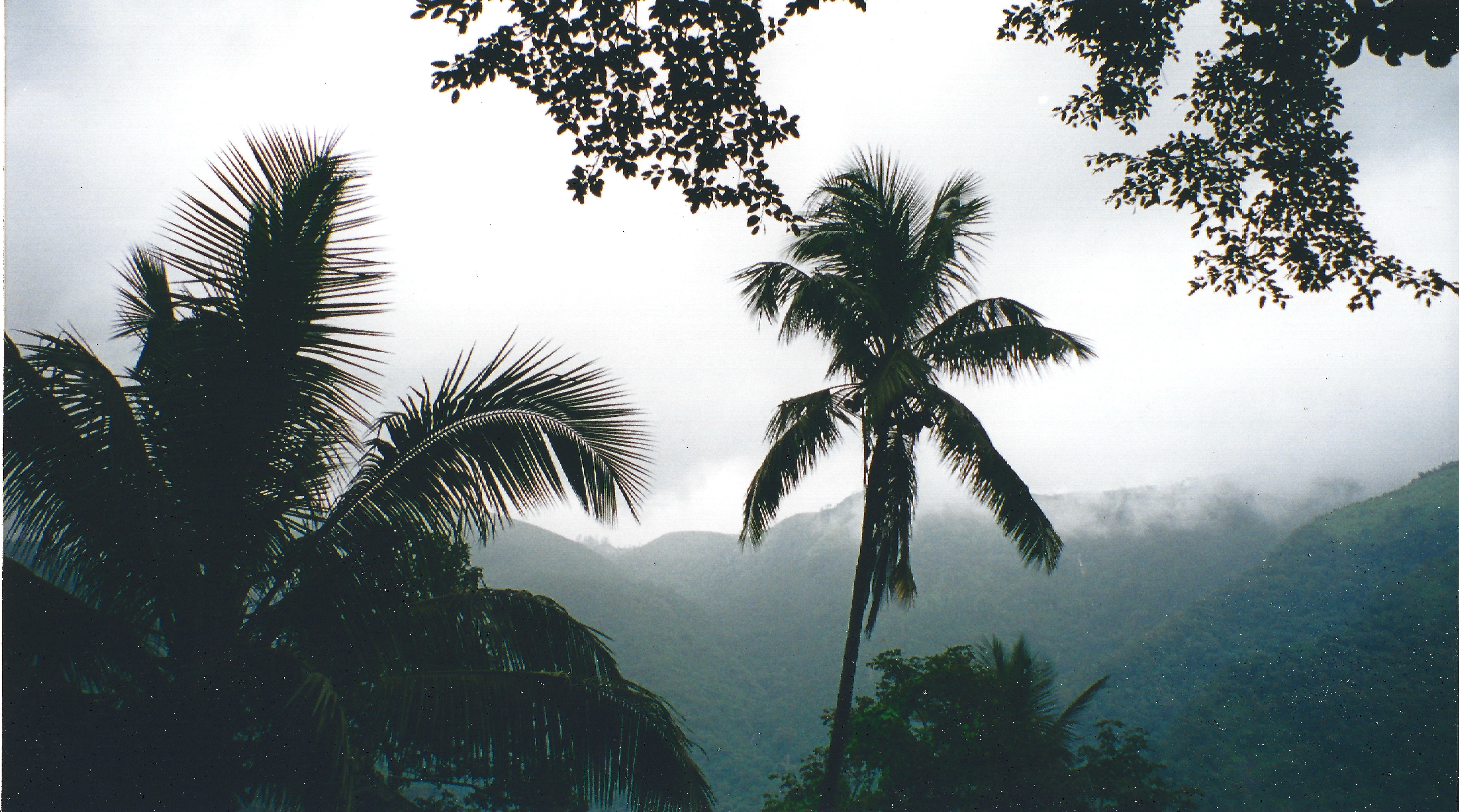 7 Day Untamed & Aligned in the West Indies, Dominica 2