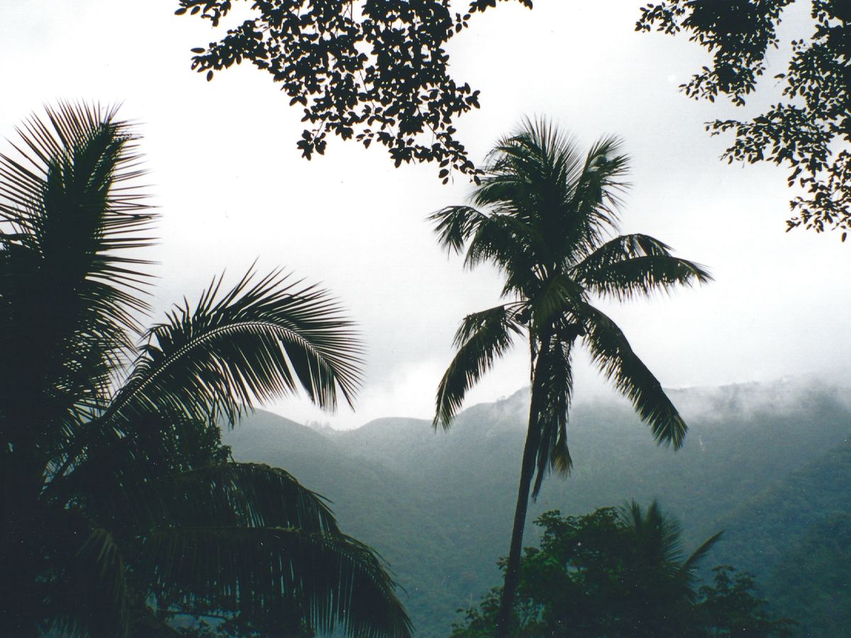 7 Day Untamed & Aligned in the West Indies, Dominica 2