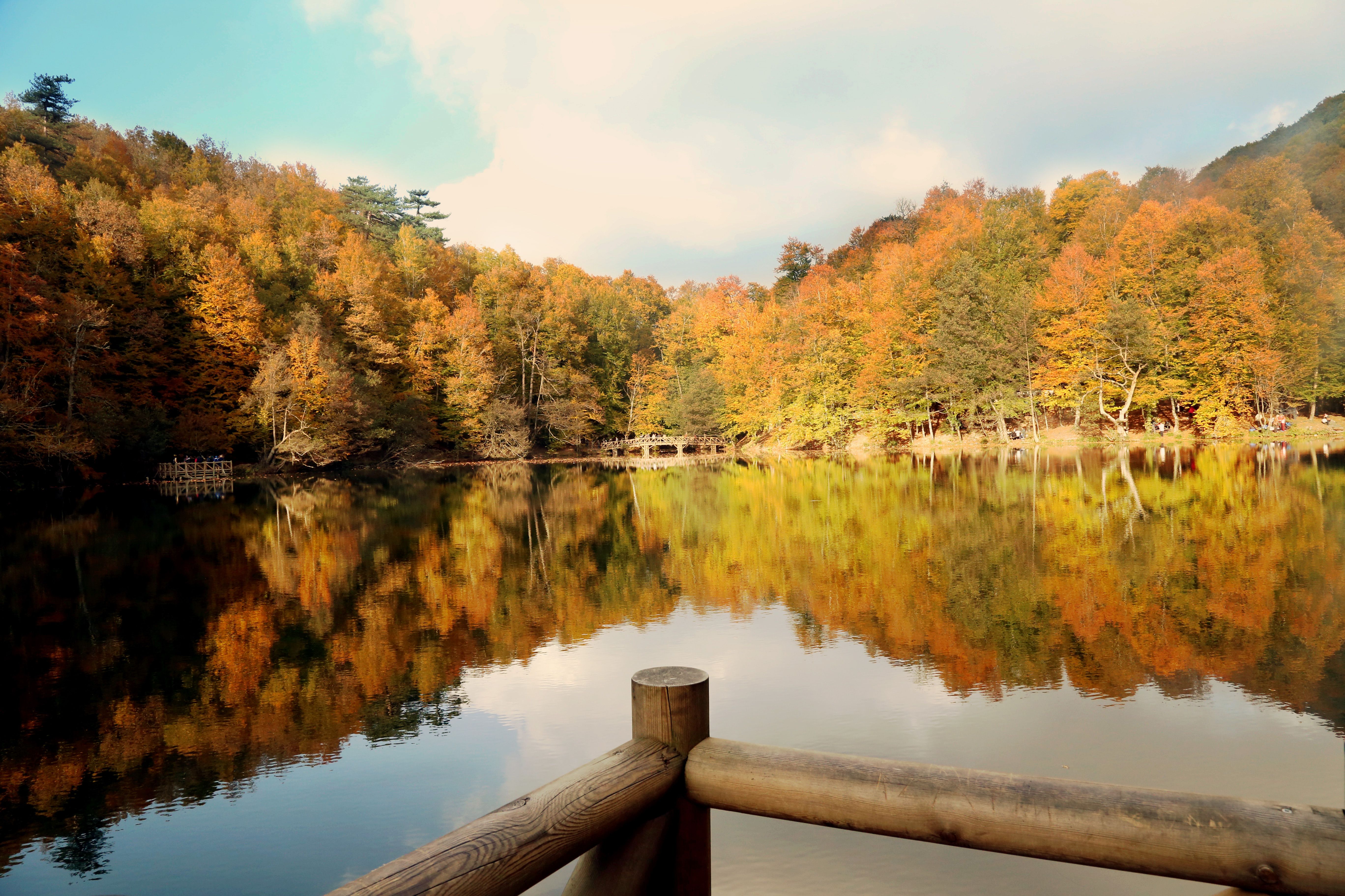 Free stock photo of fall, natural, nature