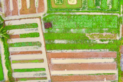 Aerial Photography of Field