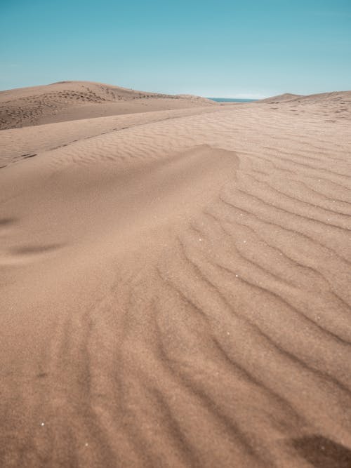 Foto Der Wüste Während Des Tages