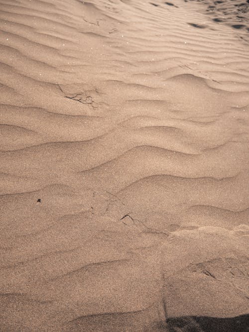 Základová fotografie zdarma na téma denní světlo, horko, krajina