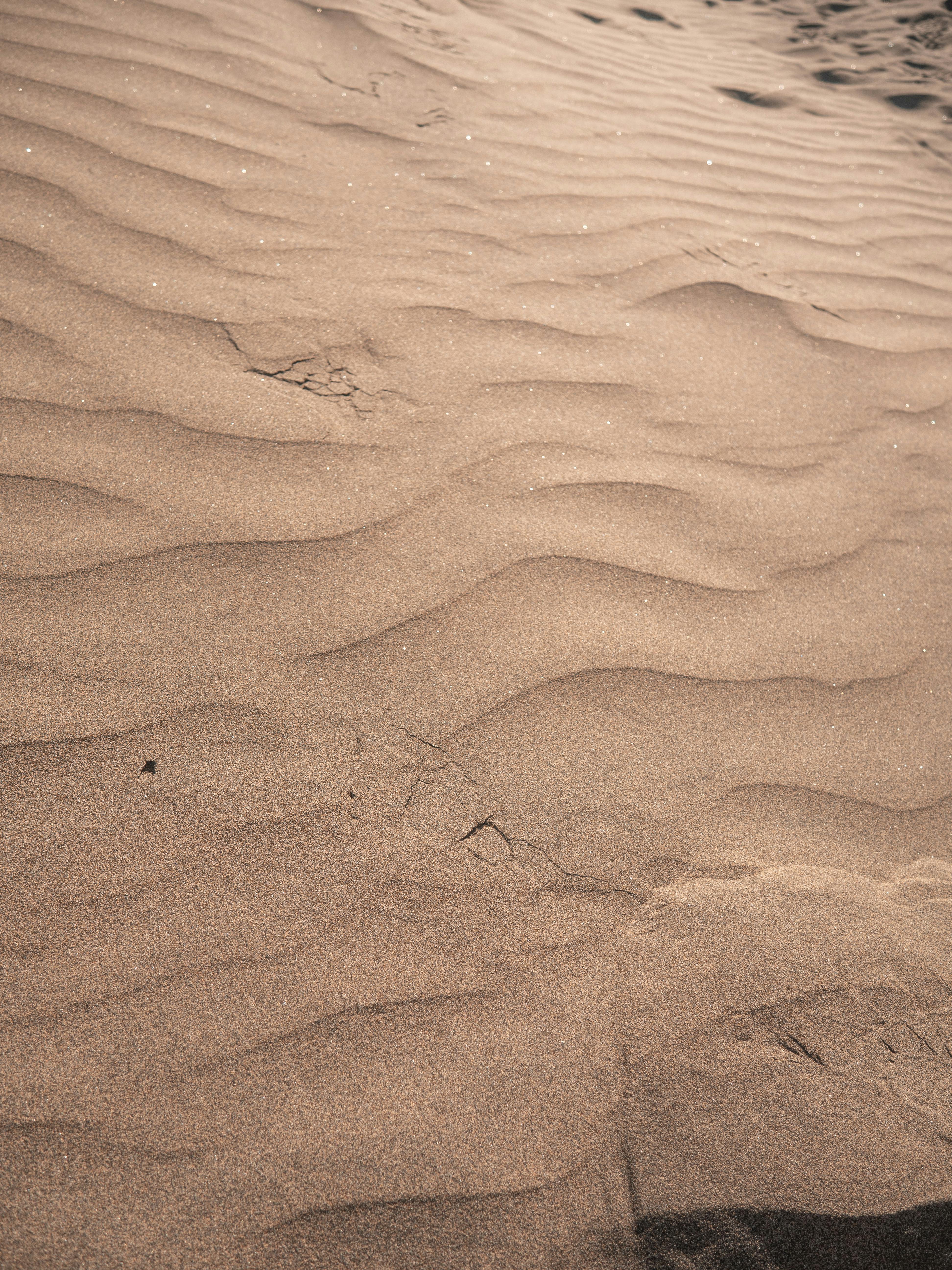 Sand Photos, Download The BEST Free Sand Stock Photos & HD Images