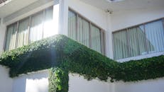 当代建筑外观以郁郁葱葱的绿色植物和阳光为特色，展现了建筑与自然设计的融合