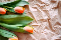 亮橙色郁金香在皱巴巴的棕色纸上，营造出充满活力的春季花卉布置