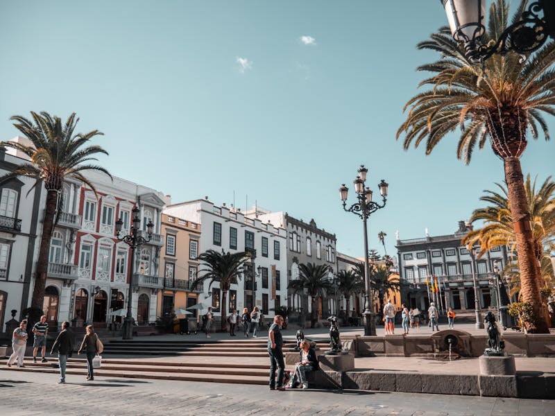 Journée animée sur une place de ville avec des palmiers à Santa Cruz