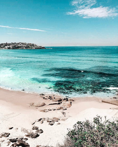 Základová fotografie zdarma na téma austrálie, bondi beach, cestování