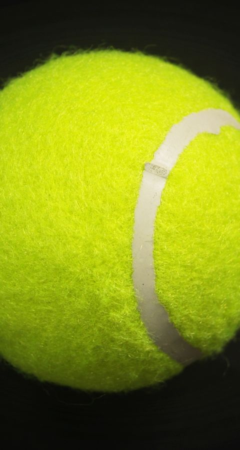 Germany 3-1 Croatia. Britain 4-0 Ecuador. Davis Cup Final 8 is set.