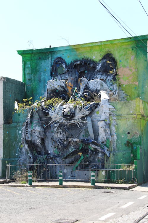 Gray Raccoon Painted on Wall of Concrete Building