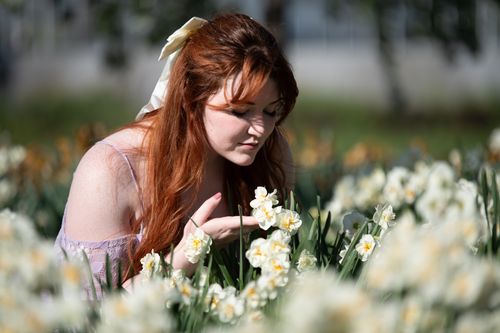 Free A red-haired woman enjoying the scent of flowers in a sunny meadow, highlighting natural beauty. Stock Photo