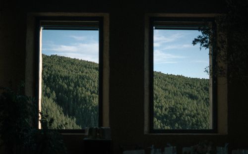 Free View of lush green forest through tall windows, creating a tranquil interior atmosphere. Stock Photo