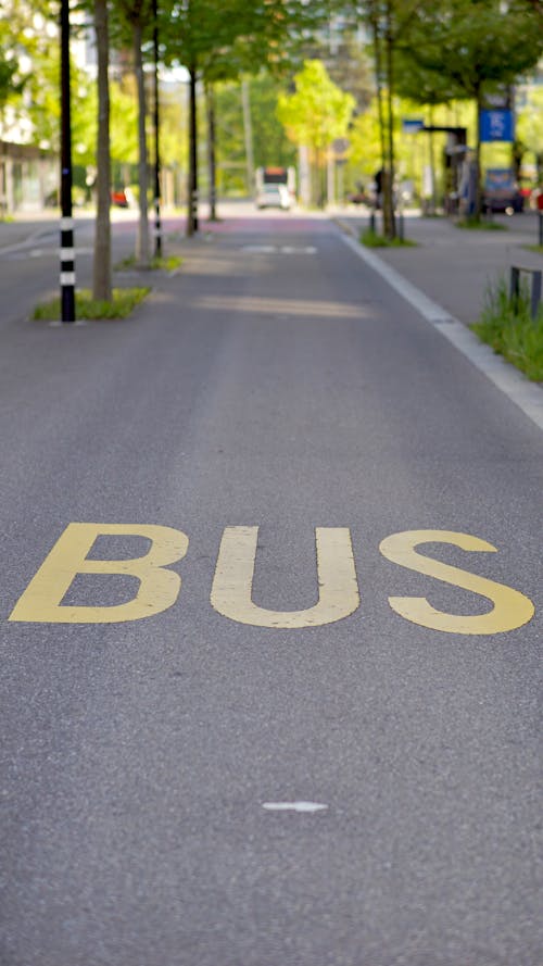 A bus sign painted on the road with the word bus