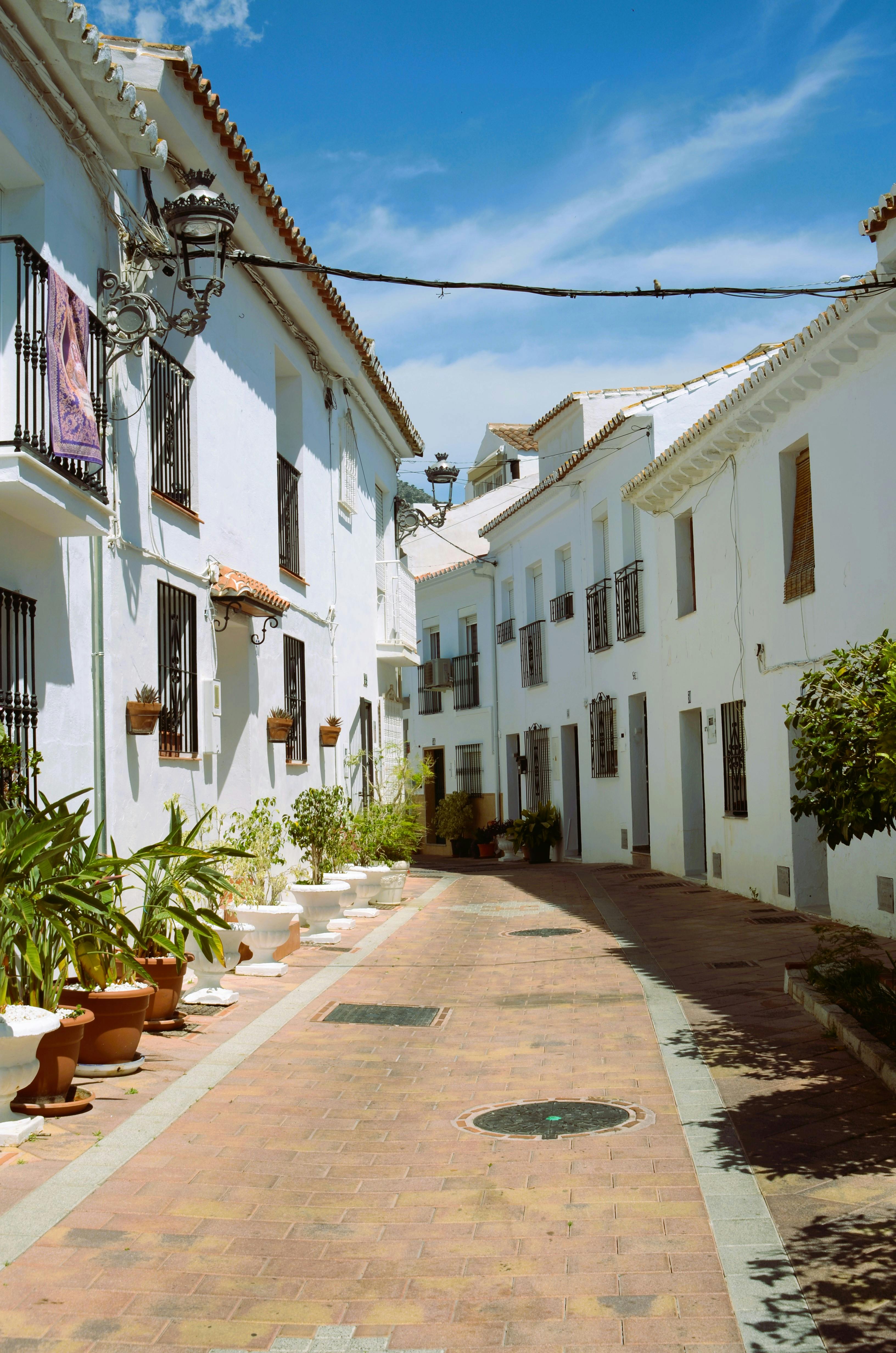 a-walkway-between-terraced-houses-free-stock-photo