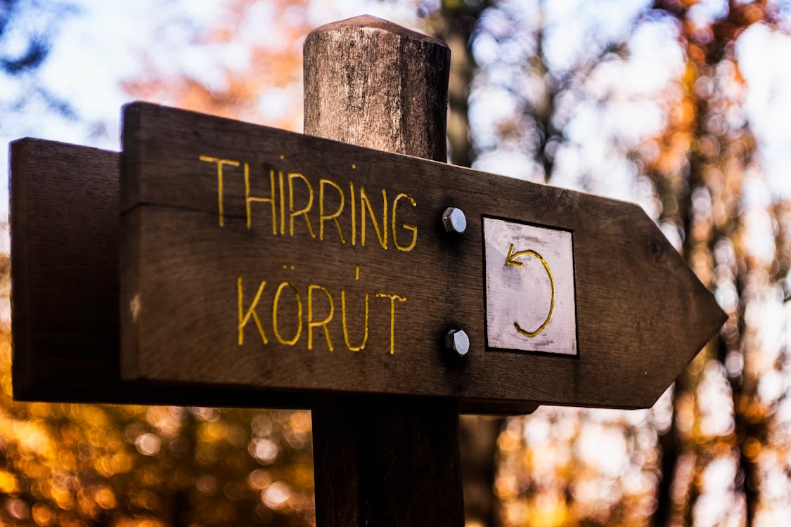 Thirring Korut Wooden Signage