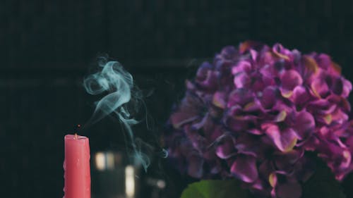 Red Pillar Candle Beside Purple Flower