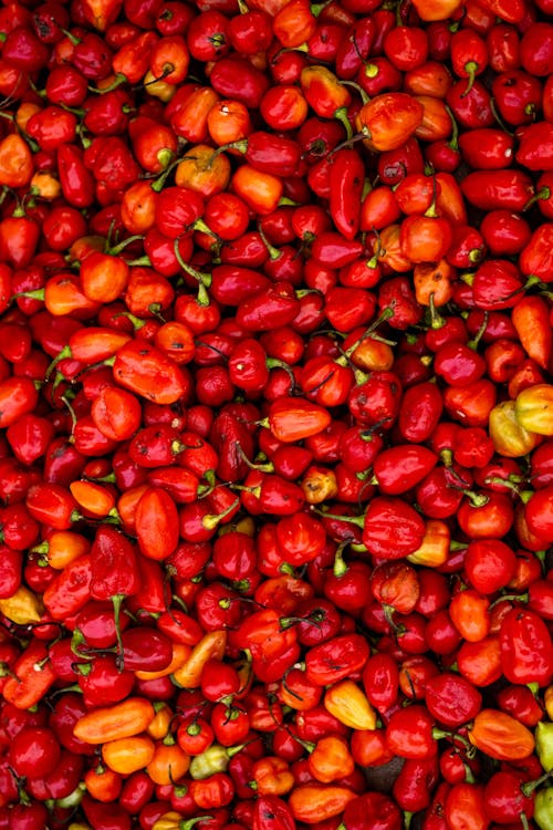 A large pile of red and yellow peppers